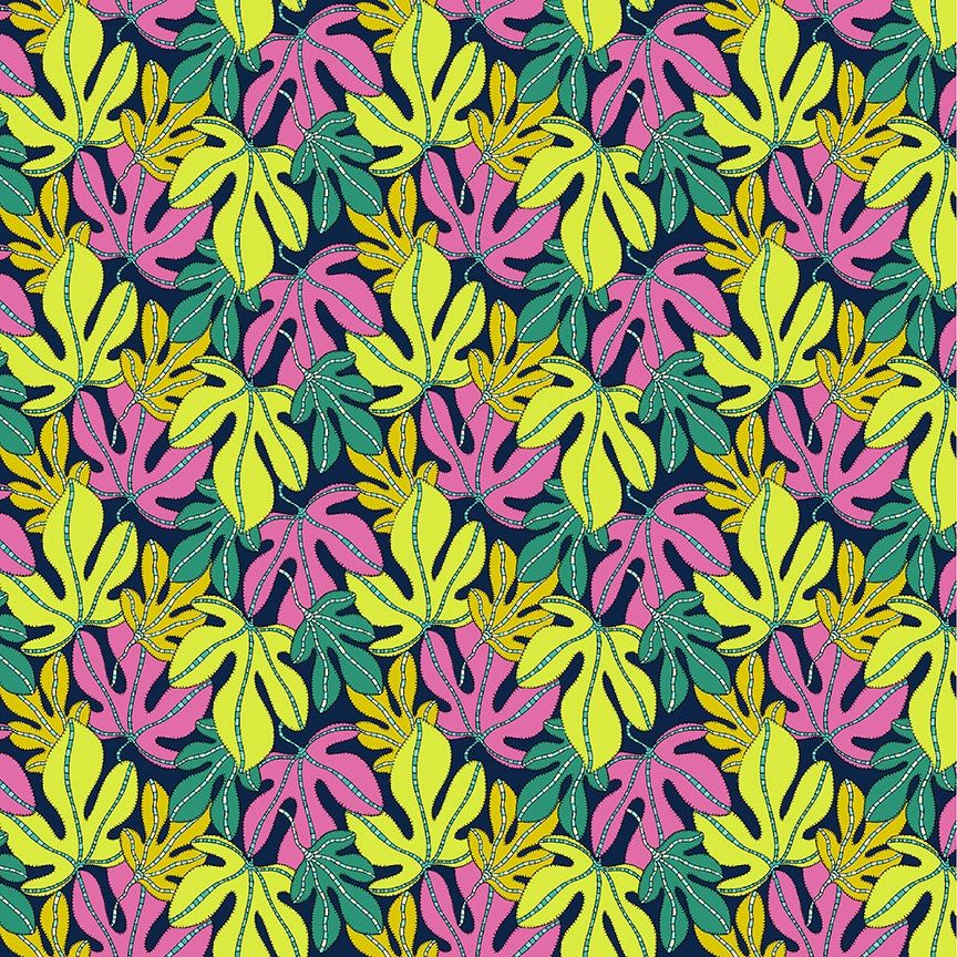 Monstera - Multi | Sunshine Online
