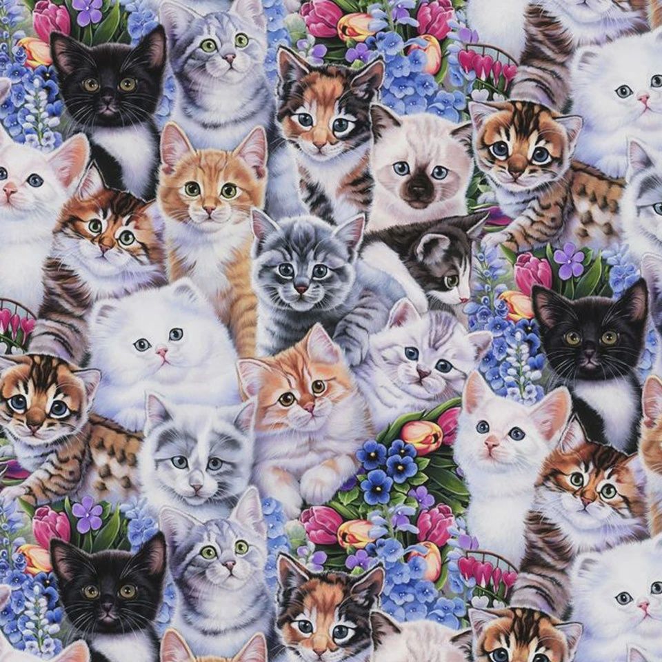 Kittens &amp; Flowers - Anti-Pill Fleece Online