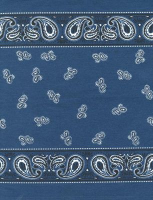16" Classic Retro Navy Bandana Toweling Online