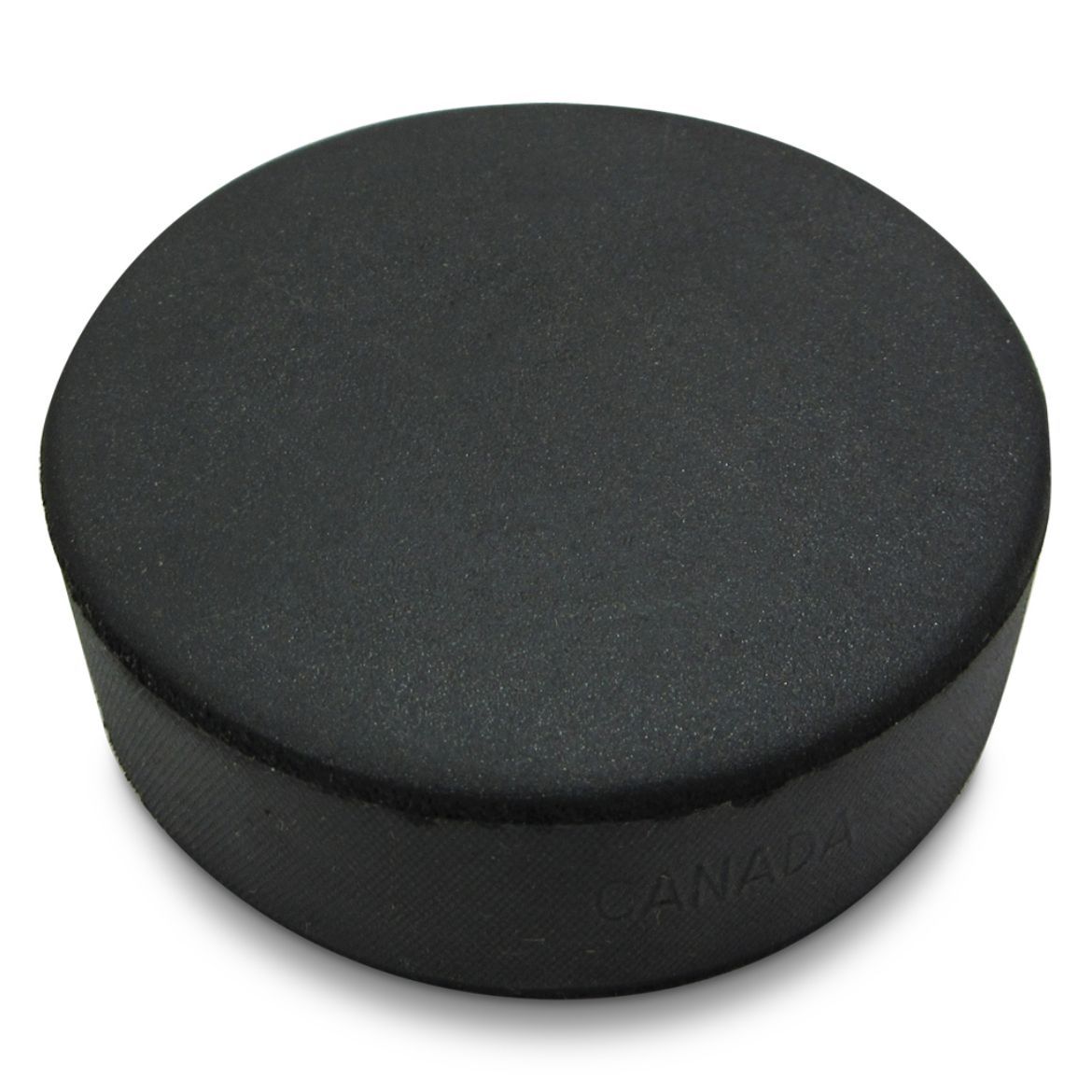Lowry sponge puck
