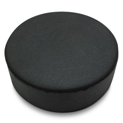 Lowry sponge puck