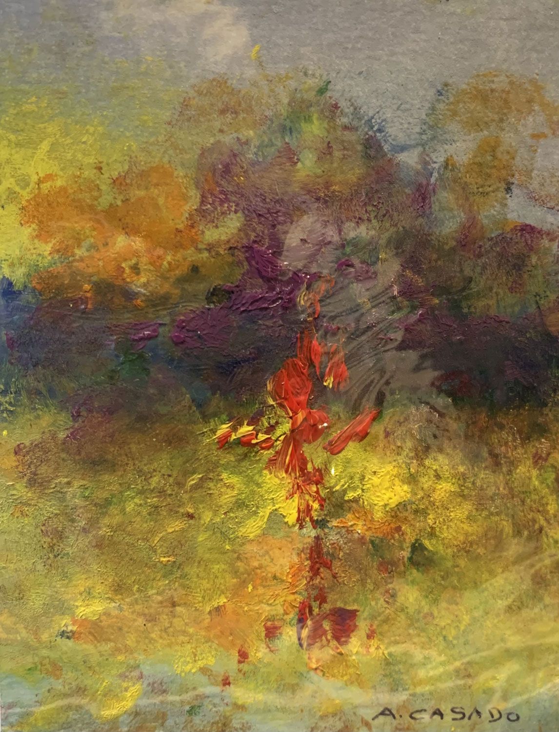 Aurora Casado Gras