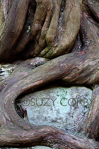 Suzy Corby
