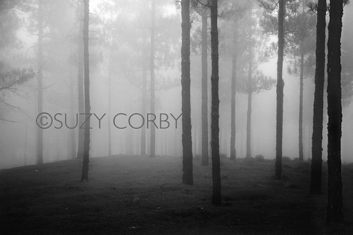 Suzy Corby