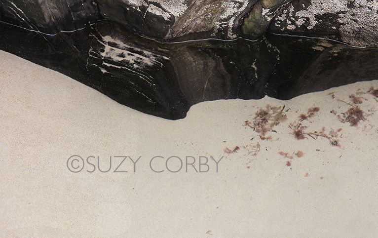 Suzy Corby