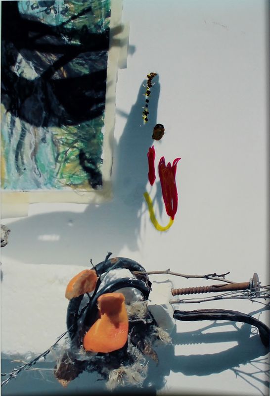 Emily Puetter