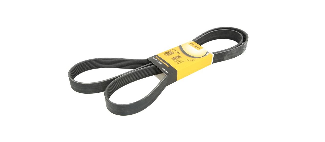 Pasek wielorowkowy (8PK1955)