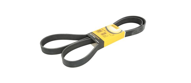 Pasek wielorowkowy (8PK1955)