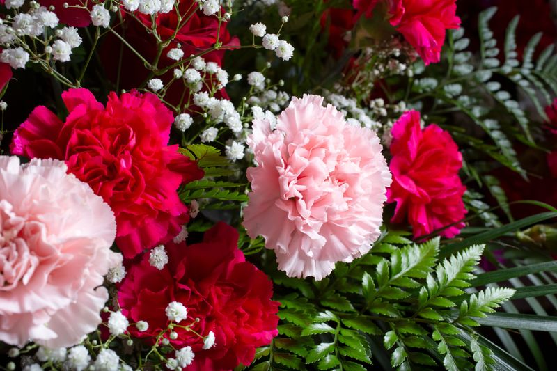 Floral - Fresh
