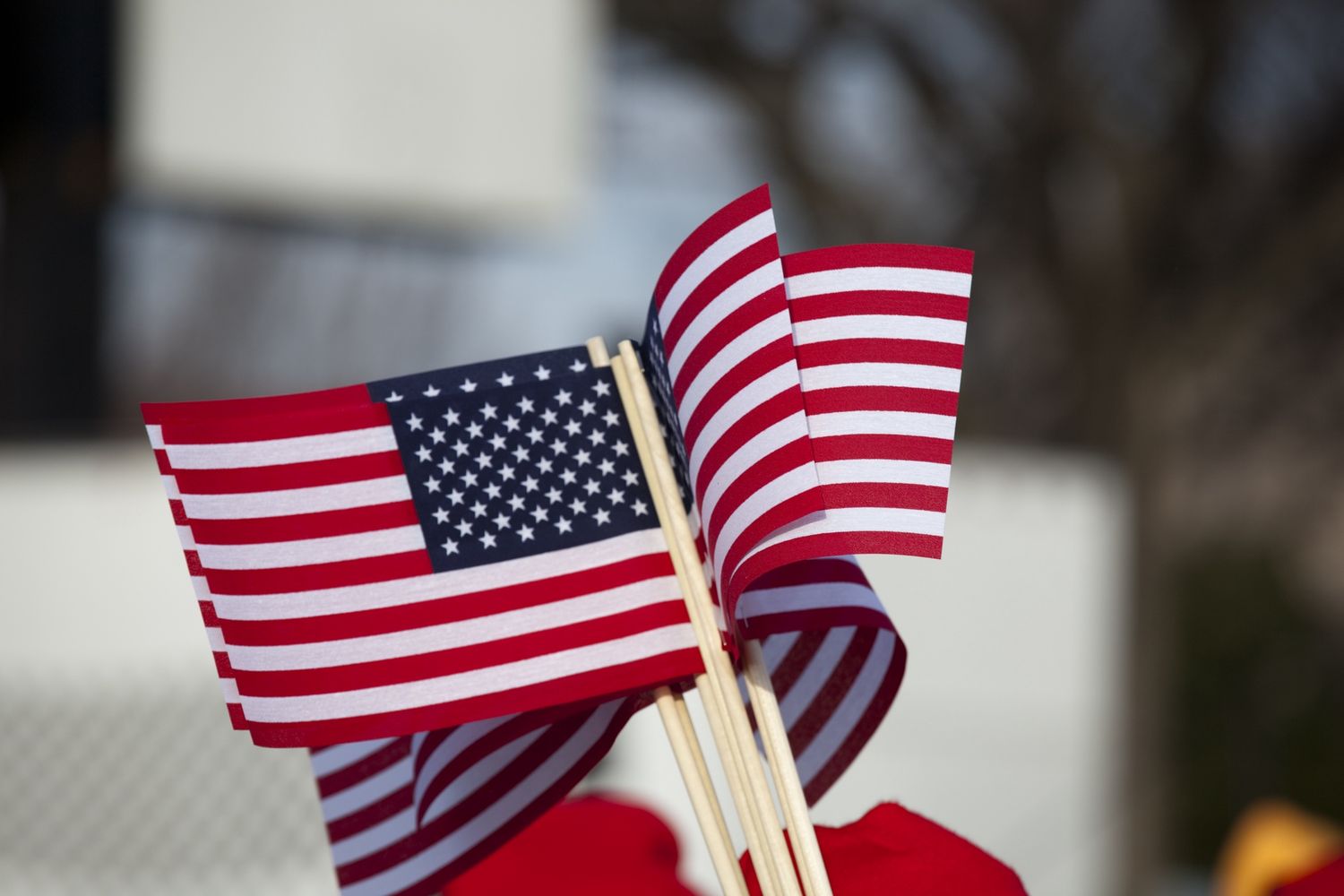 Flags
