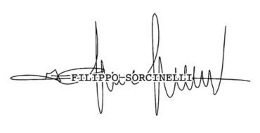 FILIPPO SORCINELLI