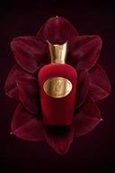 TRAVIATA EDP