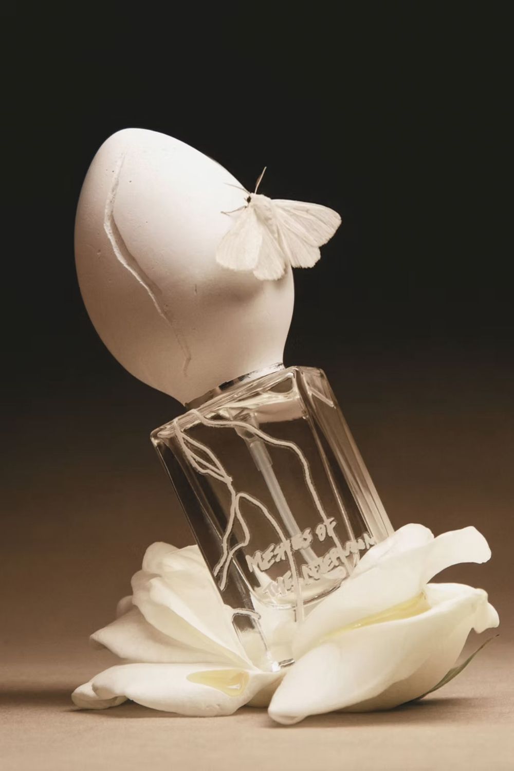 MESHES OF THE AFTERNOON EDP