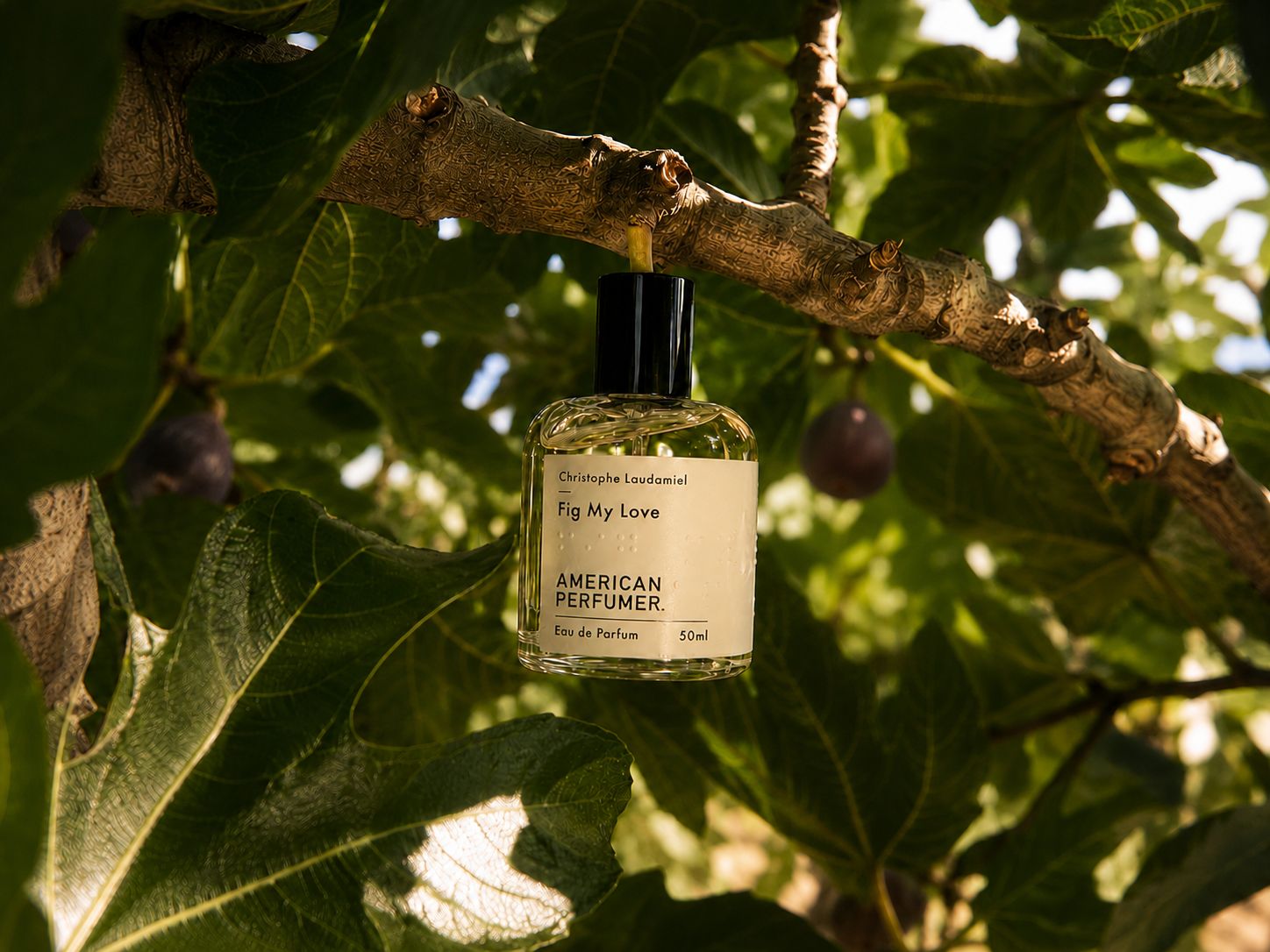 FIG MY LOVE EDP