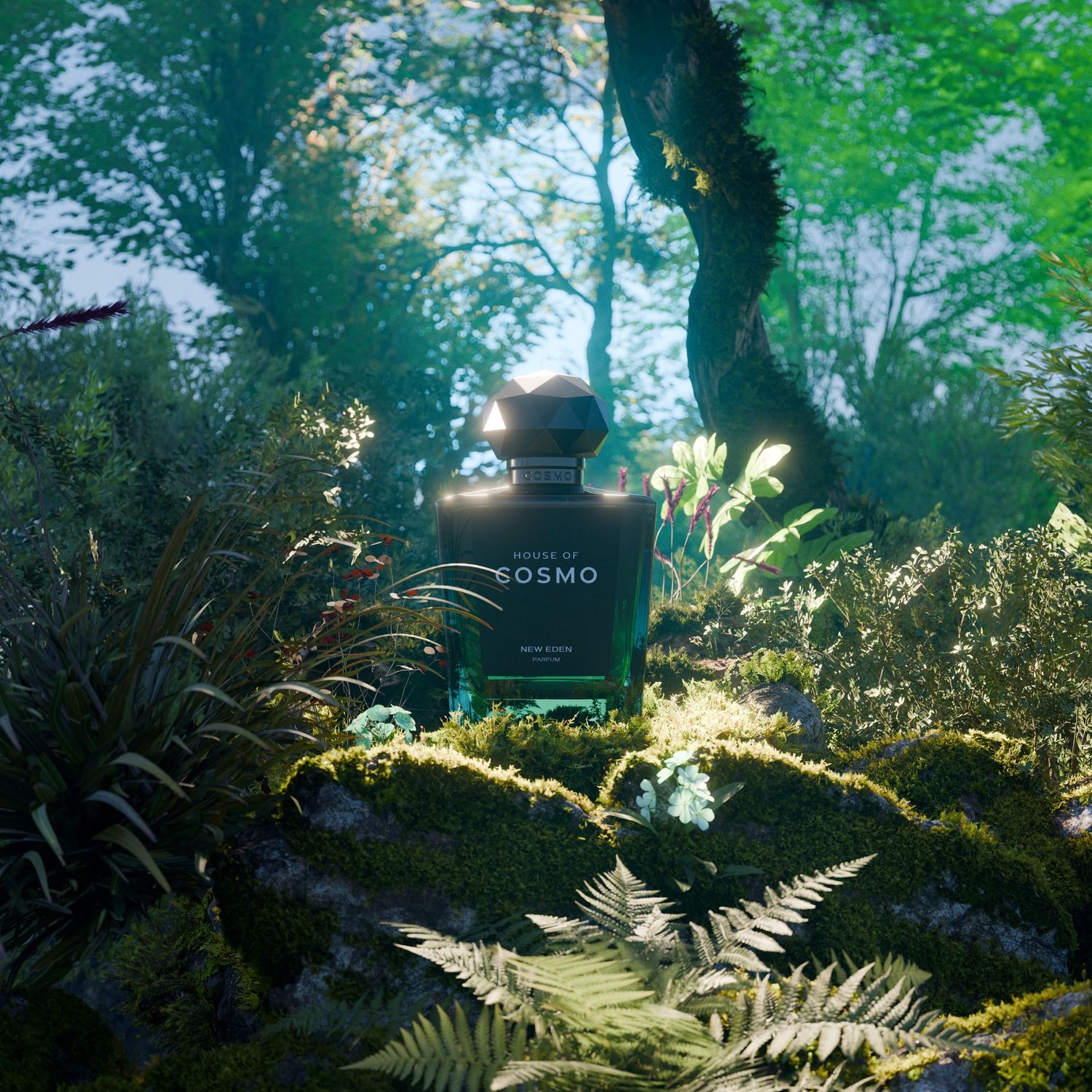 NEW EDEN PARFUM