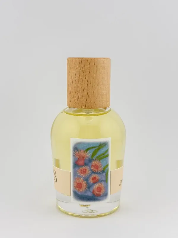 Sea Anemone EDP