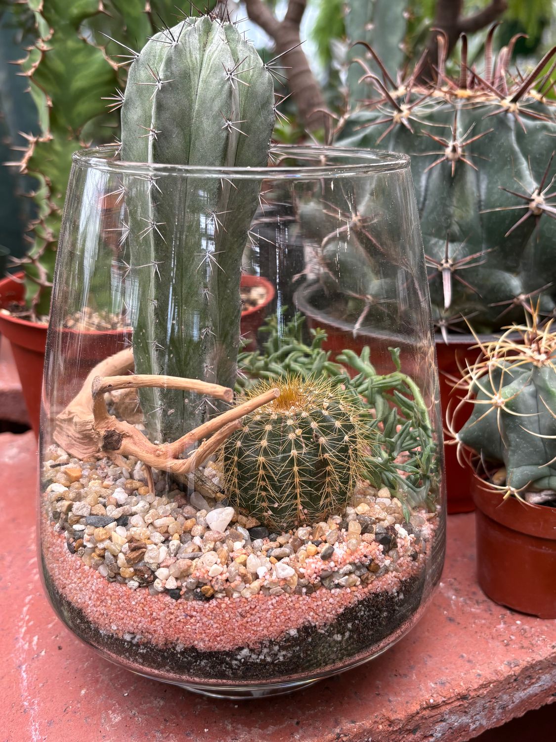Workshop: Desert Terrariums - 04/18/2026 @ 2pm