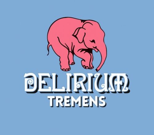 DELIRIUM TREMENS 16.9OZ CAN