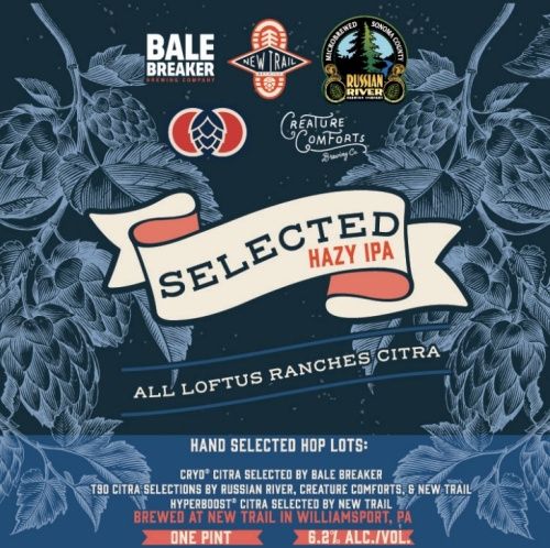 NEW TRAIL SELECTED HAZY IPA 851982008108