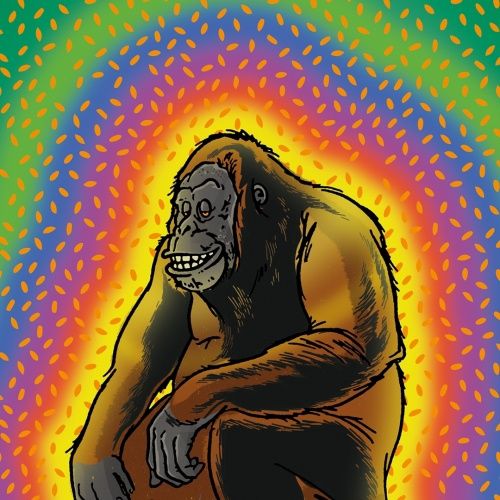 TRIPPING ANIMALS AURA KING 683132091148
