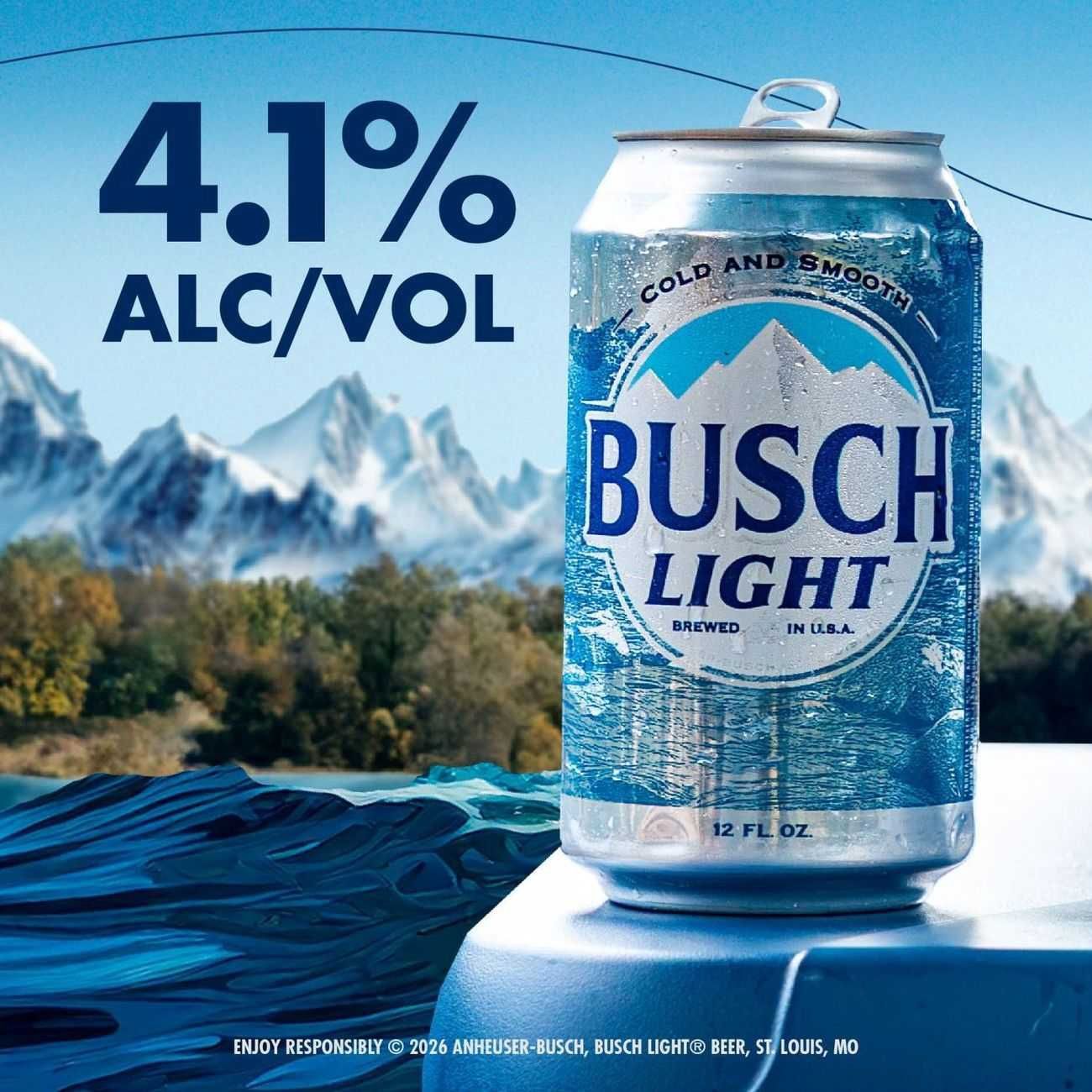 BUSCH LIGHT 6PK CANS