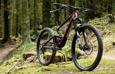 Bikes