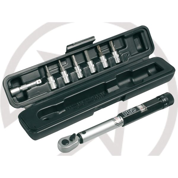 Torque Wrench w/ m3, m4, m5, m6,T25 &amp;T30