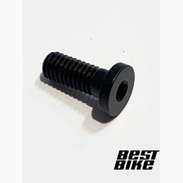 Mounting Bolt TCU Bolt T10