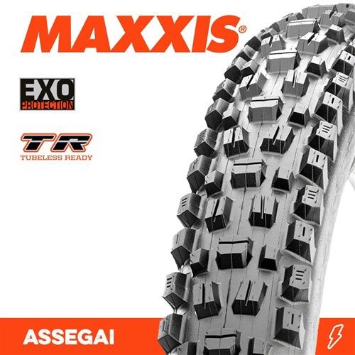 29" x 2.5 Assegai  EXO TR, Size: 29 X 2.5