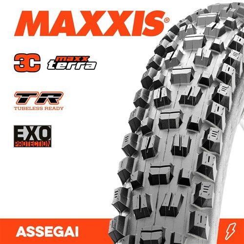 Assegai 3C Terra Exo TR, Size: 27.5x2.50