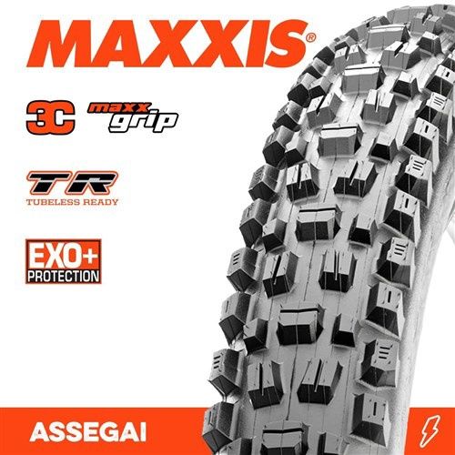 Assegai Folding  WT Grip EXO+ TR 3CMaxx Terra