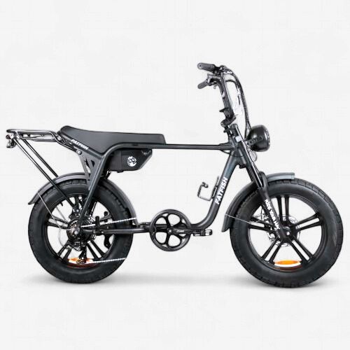 OG 2.0 - Fat Tyre E-Bike (EN15194), Colour: Holo/Grey