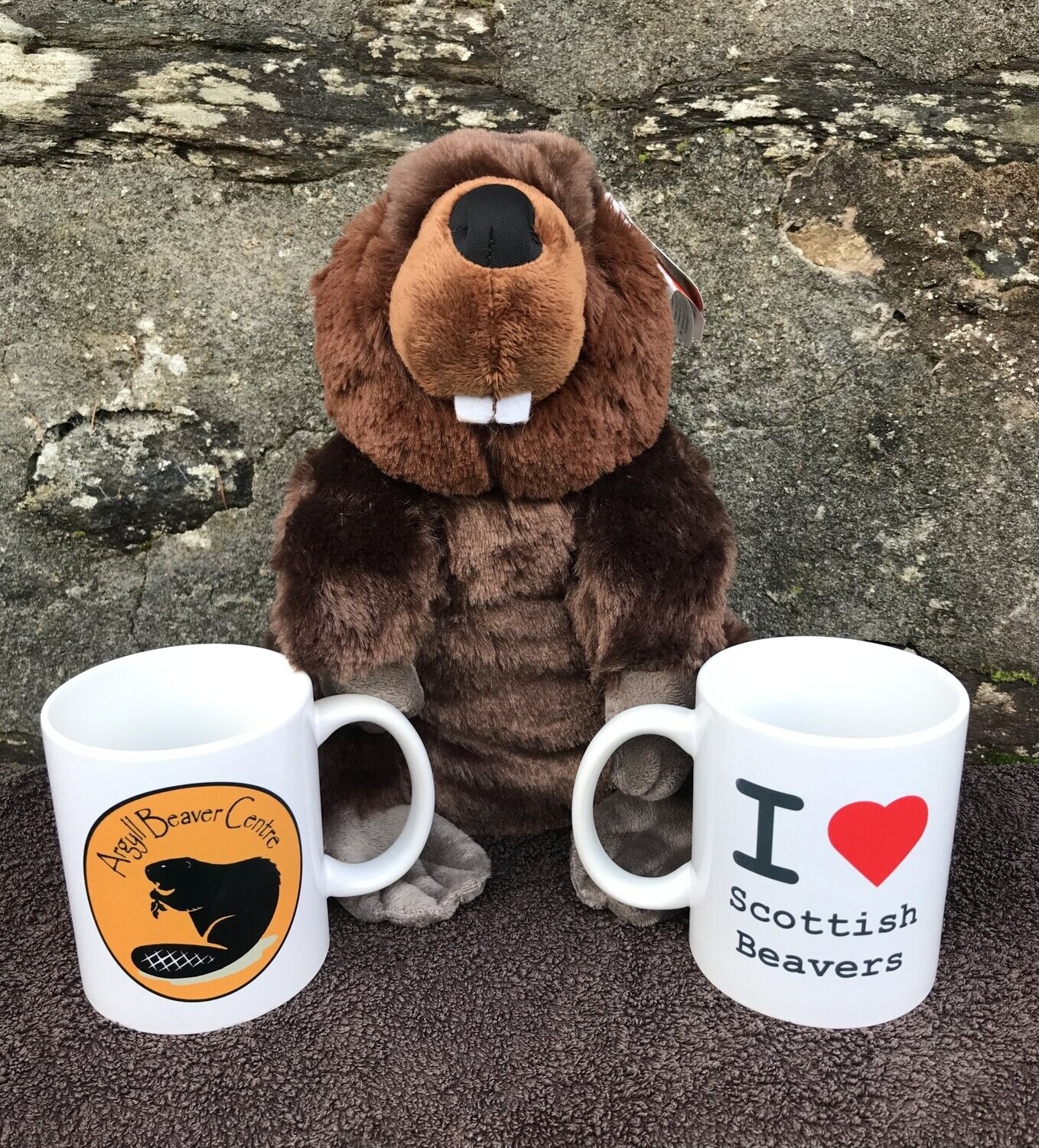 Argyll Beaver Centre/I Love Scottish Beavers Mug