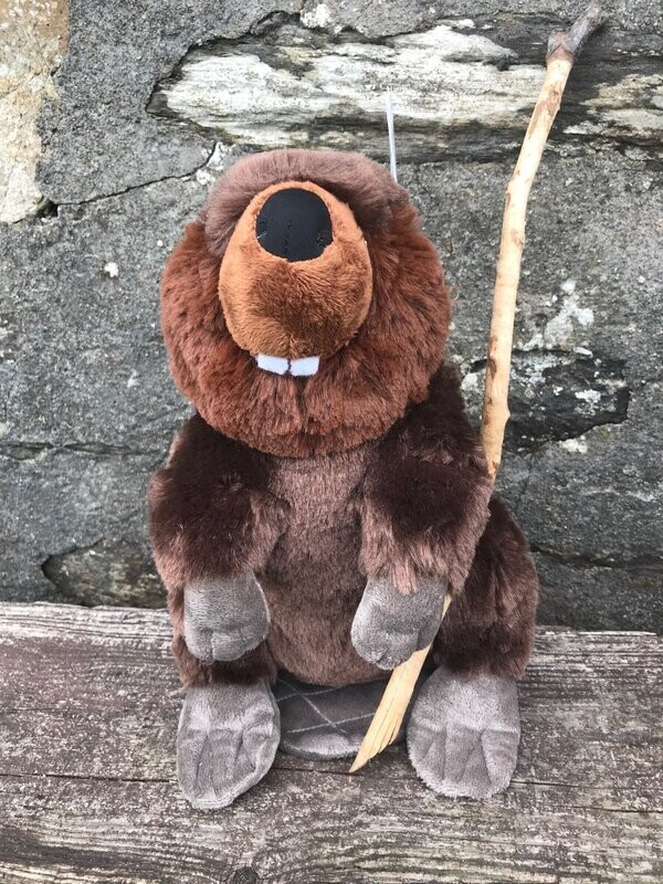 Large Beaver (30cm)