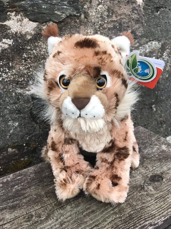 Eurasian Lynx (25cm)