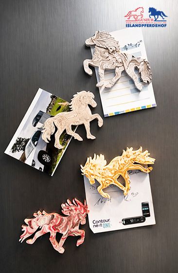 Kühlschrank Magnete