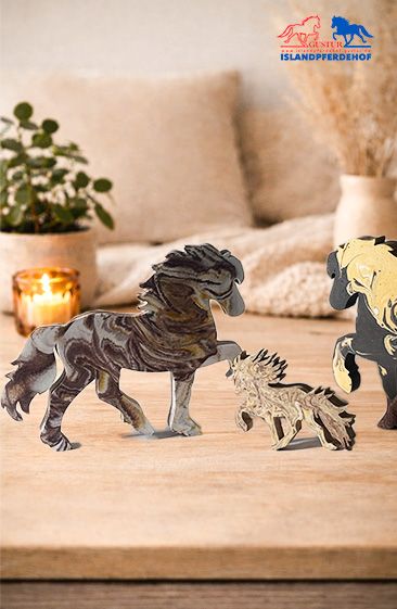 Freistehende Islandpferde