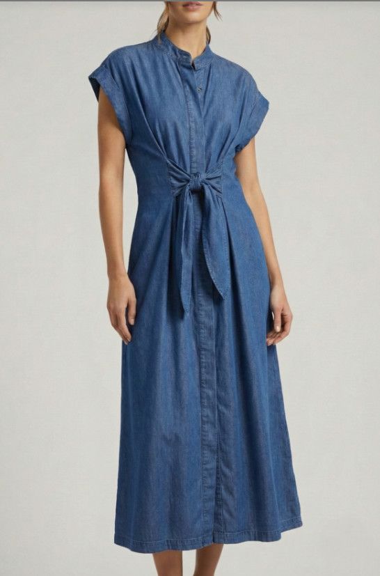 T105 APNY Denim Dress