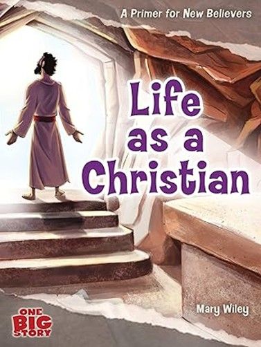 LIFE AS A CHRISTIAN - newbie