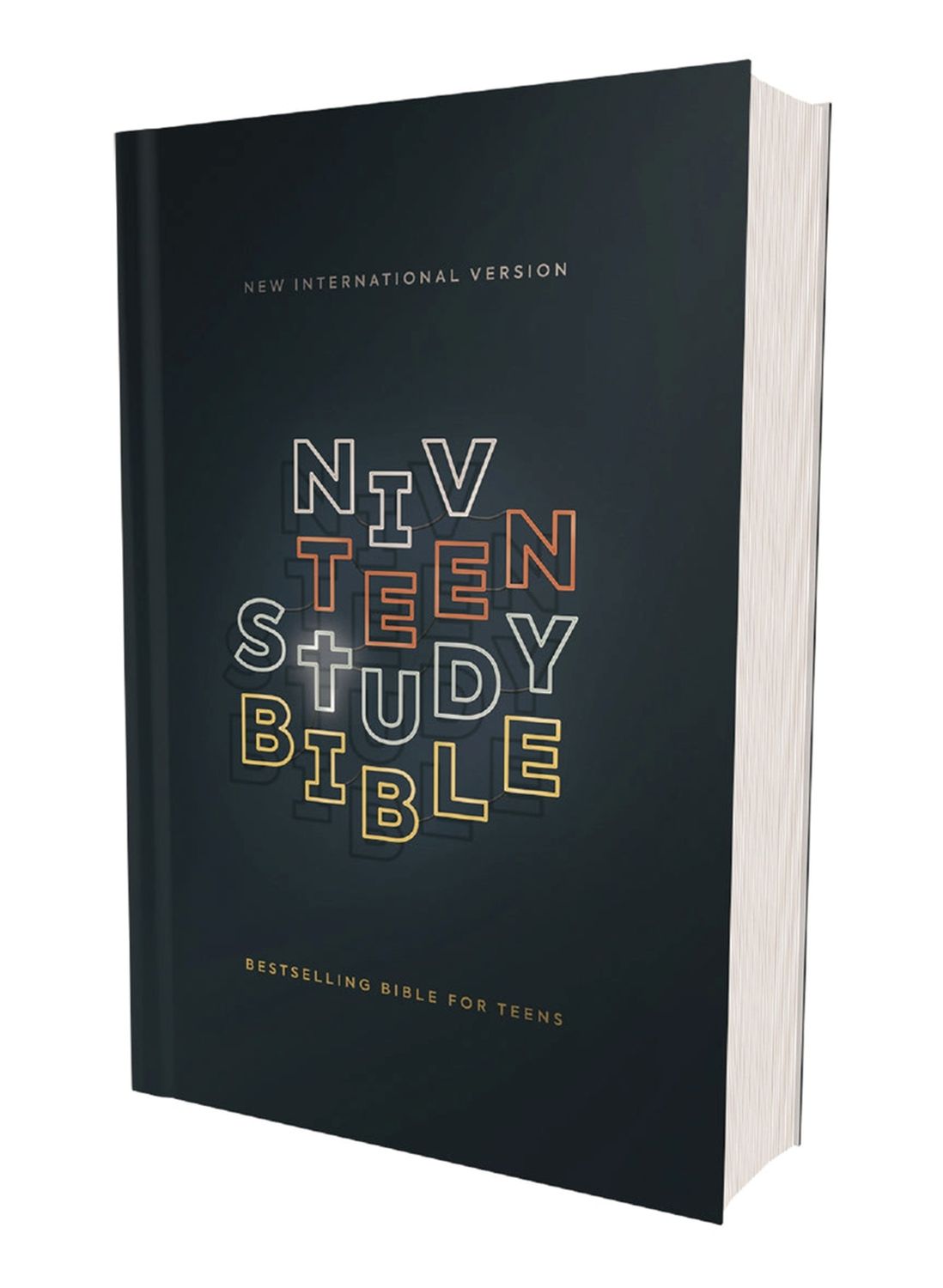 NIV TEEN BIBLE
