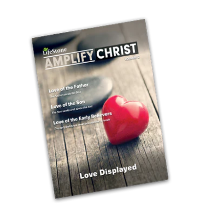 AMPLIFY CHRIST SUNDAY SCHOOL BOOK (LOVE DISPLAYED) BY LIFESTONE