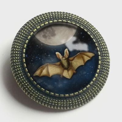 Bat &amp; Moon Glass &amp; Bronze Brooch