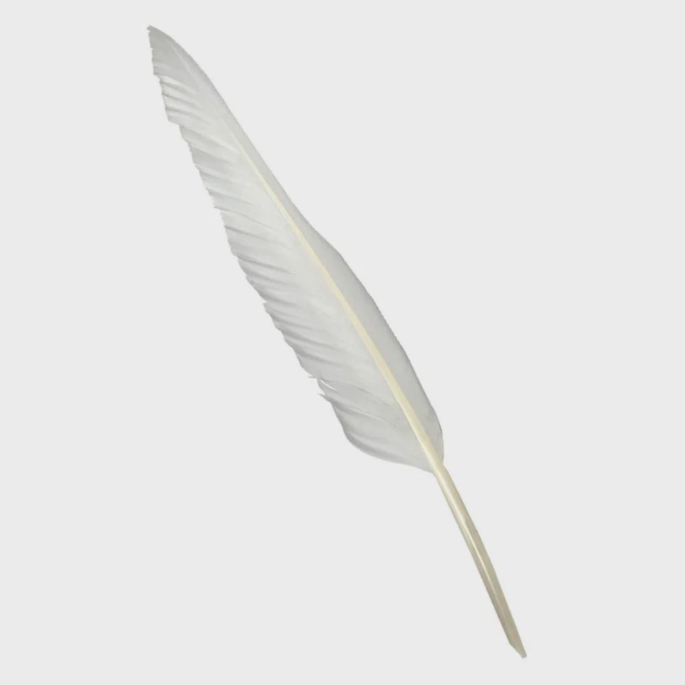 Feather Quill