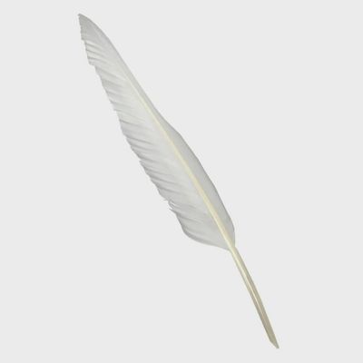 Feather Quill