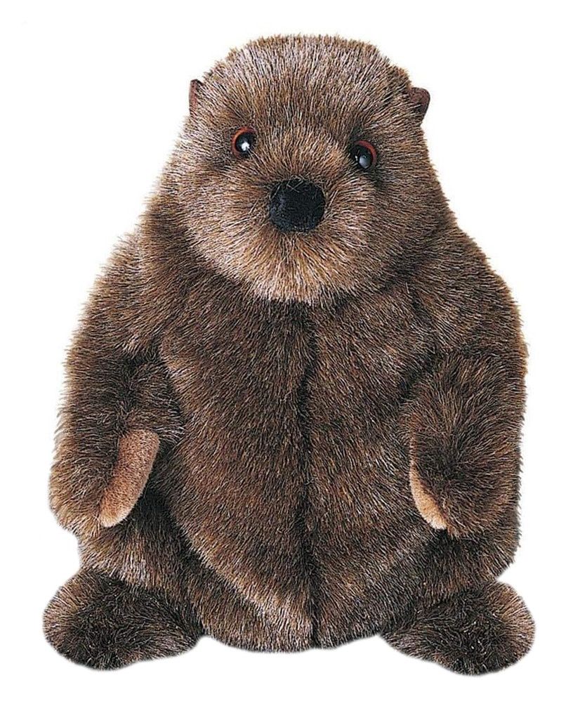 Mr. Chuck Wood Stuffed Groundhog