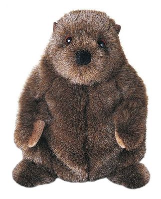 Mr. Chuck Wood Stuffed Groundhog