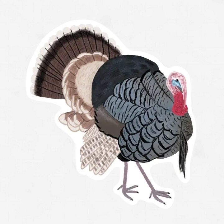 Terrance the Turkey Vinyl Sticker