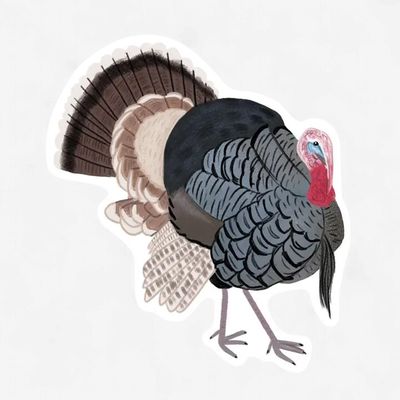 Terrance the Turkey Vinyl Sticker