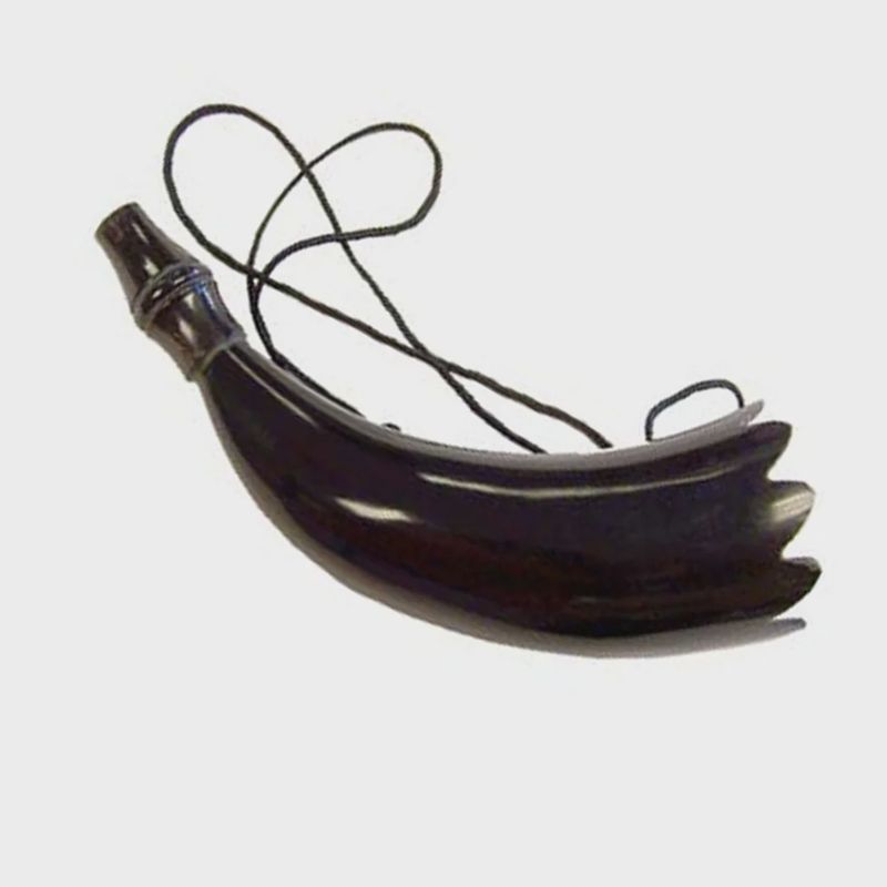 Blowing Horn