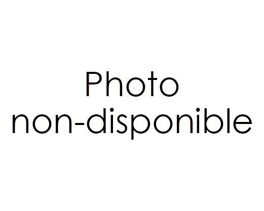 Boistraité, Longueur: 12pi, Size: 5/4x6